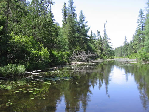 Top end of Daisy Lake.