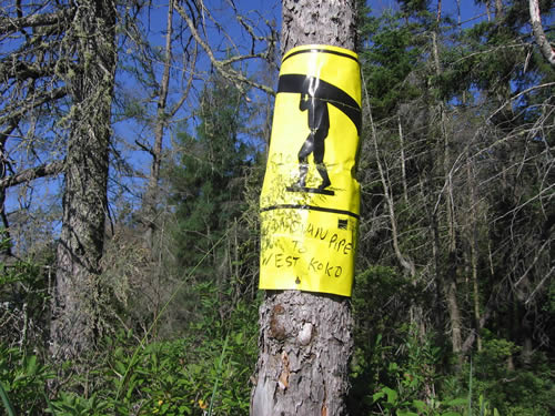 Indian Pipe Lake to West Koko Lake.