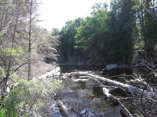 Nipissing River where it leaves Big Bob lake.