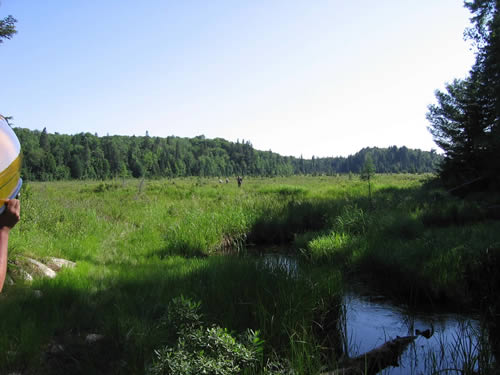 Starting on the Nipissing River.