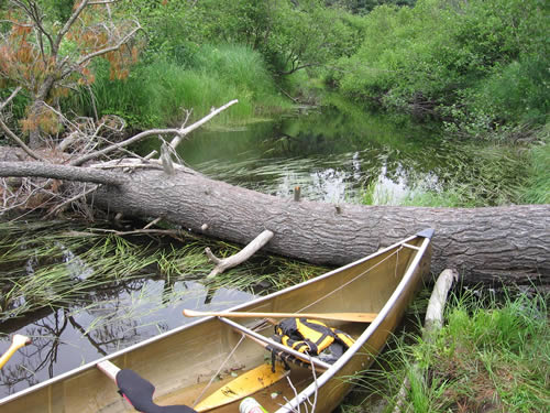 River blockage, one of many.