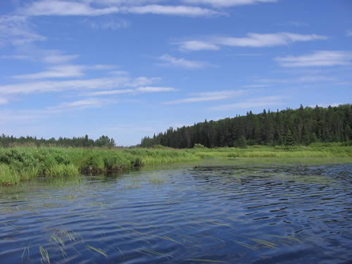 Grass Lake.