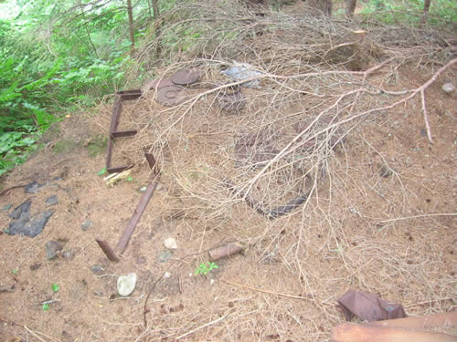 Odds and shards near the cabin.