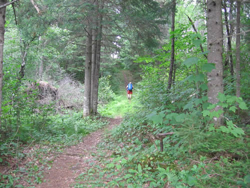 Mark along the Allen Rapids portage.