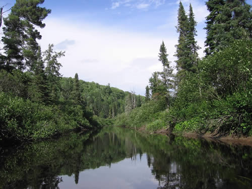 A still stretch of the Nipissing River.