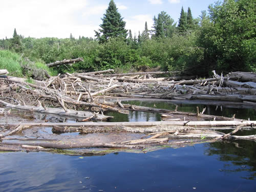 Major log jam.