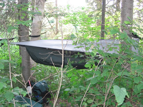 Hammock in a thicket.