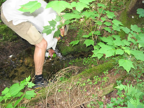 Nadine portage spring - mosquito hords.