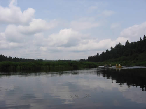 Oxbow in Sedge Meadow.