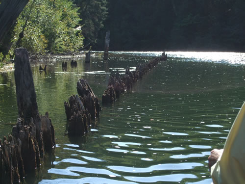 Canal remains between Fairy Lake and Peninsula Lake.