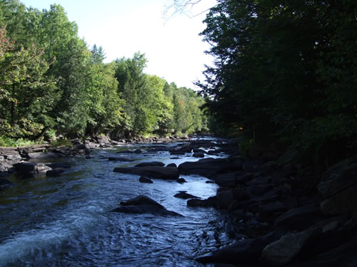 Rapids on Oxtongue River.