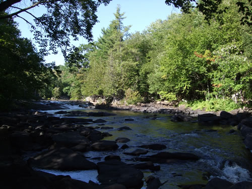 More rapids on Oxtongue River.