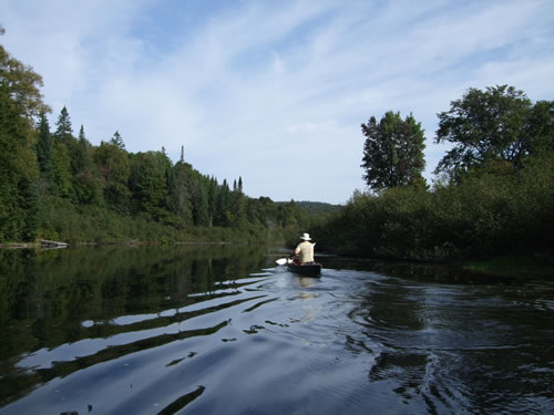 MarkS solo up the Oxtongue River.