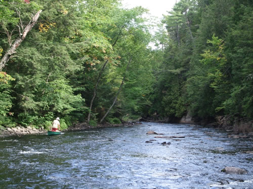 Walking a shallow section of the Oxtonge River.