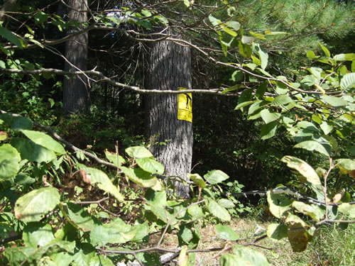 Oxtongue River portage sign.