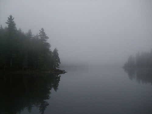 View of the lake in the morning fog.