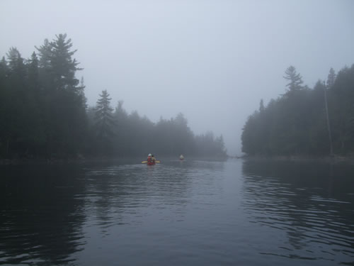 Markus and Jeff follow the Scarletts into the fog.