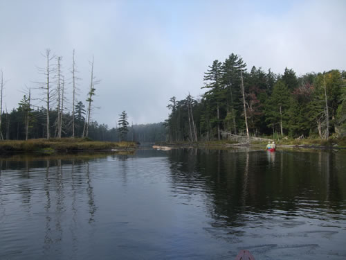 The fog and the skies starting to clear.