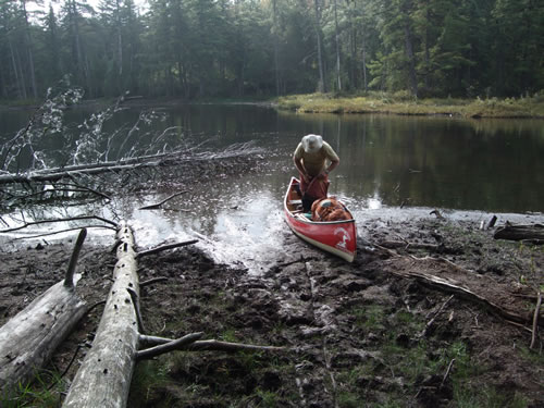 A bit of a muddy takeout.