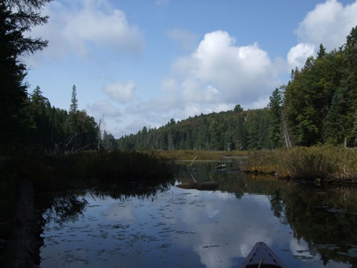 Boggy entrance to West Harry Lake.