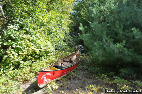 Not where you'd expect to see a canoe.