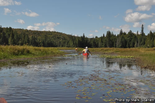 Paddling shallow Marion Lake.