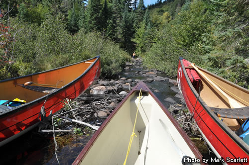 Scouting a doubtful path down the creek.