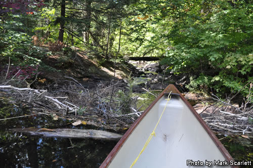 End of navigation on Mink Creek.