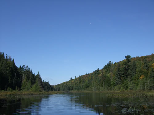 Moon on Whitecat Lake.