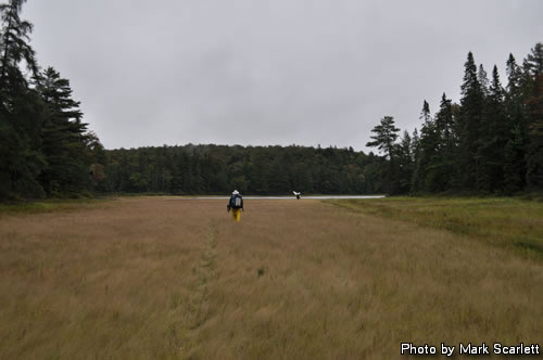 Tern Lake to Lady-Sliper Lake canoe route?