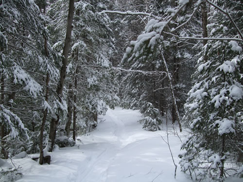 A very snowy portage trail.