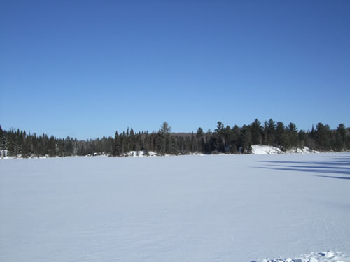 Clear and cold February morning.