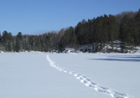 Pinetree Lake in winter