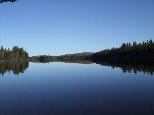The stillness of Potter Lake in the morning.