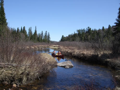 Paddling up narrow Potter Creek.