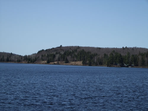 Pringrove and clearings across the lake.