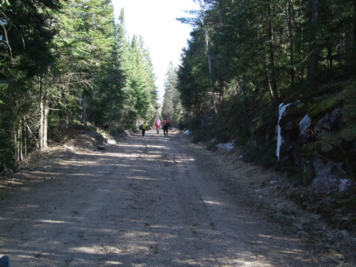 Returning along the portage/road.