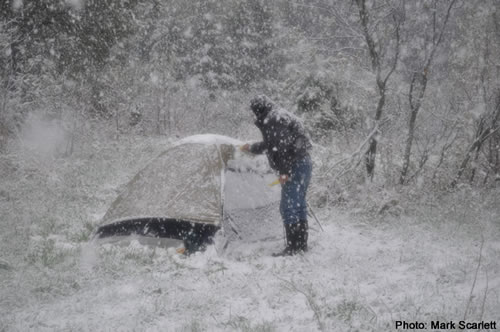 Bo keeps his tent clear of snow.