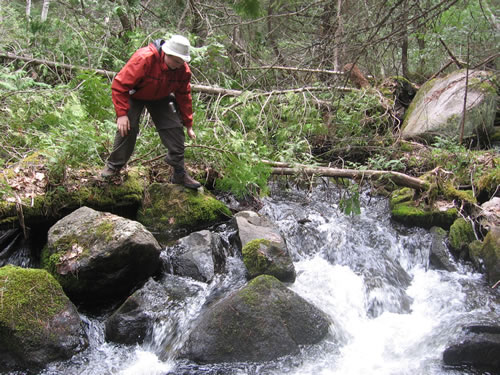 Jeff crossing White Partridge Creek.