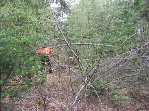 Jeff on P2315m black portage.