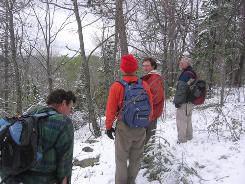 View along the bushwhack to McNorton Lake.