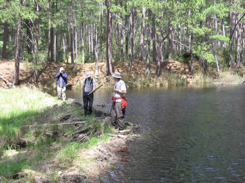 Portage crossing over earthen packed dam.