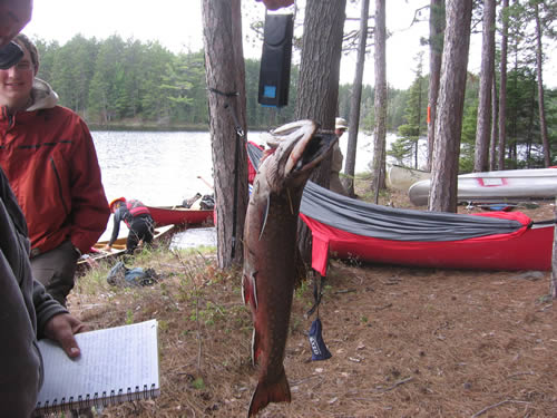 Julian weighing his catch.