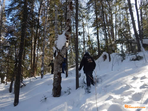 Snowshoeing along the hillside.