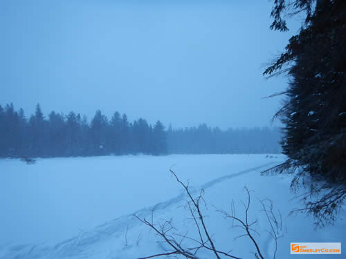 Snow falling in the early evening.