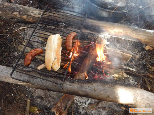 Sausage on a bun for lunch.