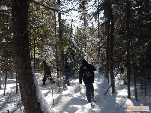 Our small crew snowshoeing through the trees.